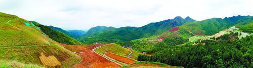 江西省地质局完成的兴国县市场化方式推进矿山生态修复EPC项目一期实景图