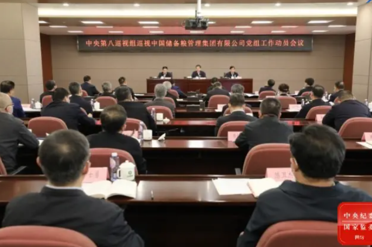 4月初，中央第八巡视组组长杨鑫带队进驻这两家央企。