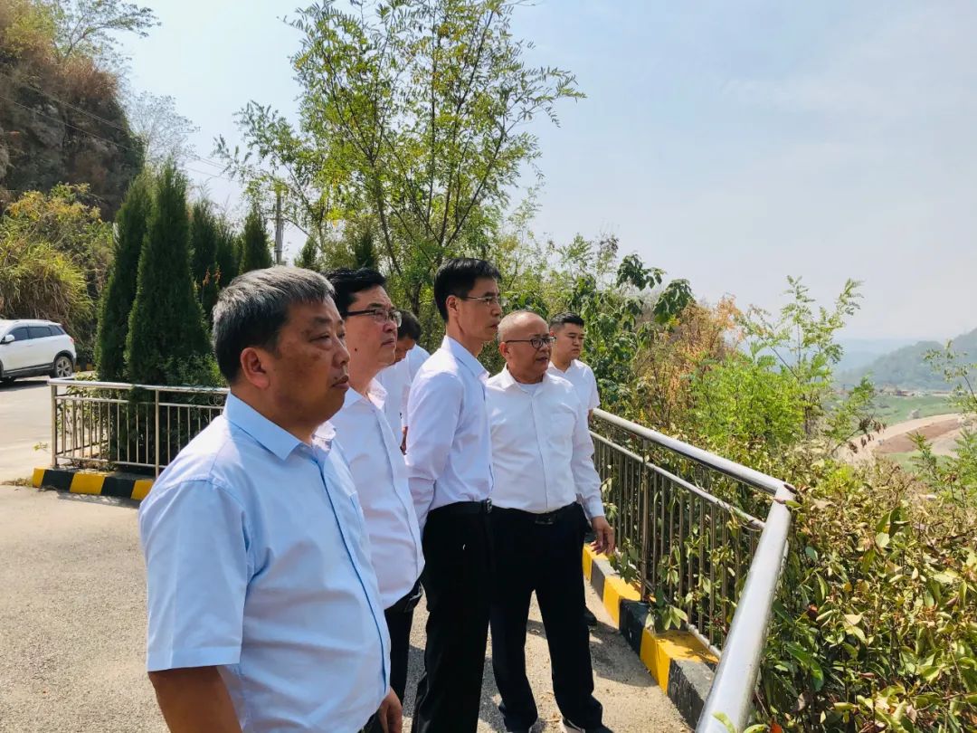 胡幼奕一行实地察看了阳新娲石矿投砂石矿山生产线