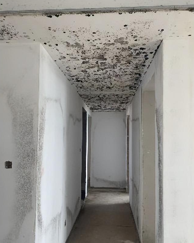 金沙乐府楼盘房屋内出现霉斑