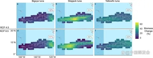 图 ：21世纪中叶与现在相比，CZZ区金枪鱼生物量的百分比变化 图源：Nature