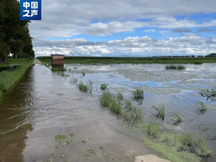 远处的红房子为高标准农田配套给水站