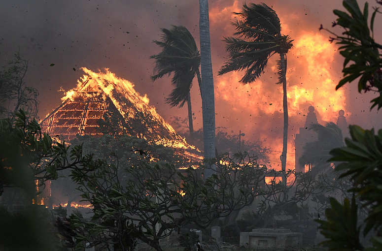 图片夏威夷山火现场