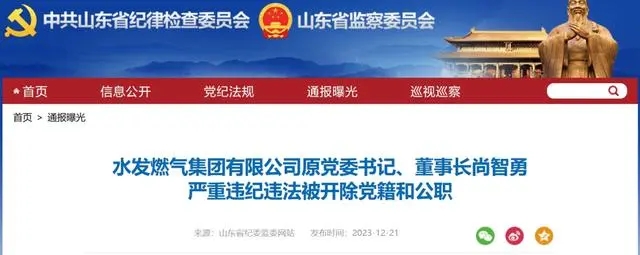 立案审查通告 立案审查通告