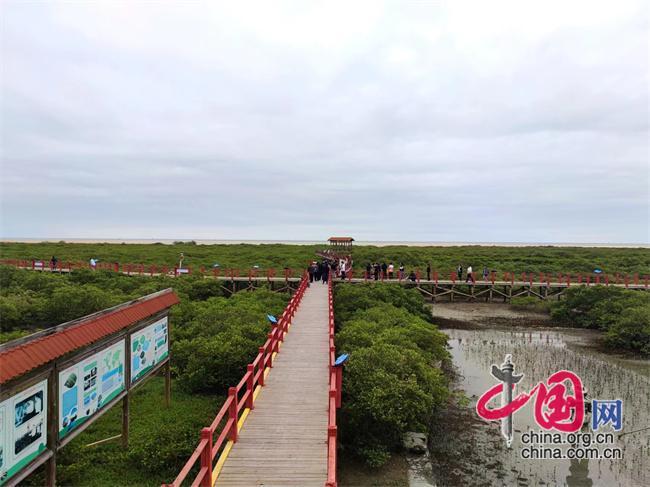 新修订的海洋环境保护法明年施行 将建立海洋垃圾污染防治等制度