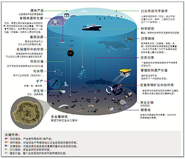 从海底开采金属可能造成采矿业300亿-1320亿美元的损失 从海底开采金属可能造成采矿业300亿-1320亿美元的损失