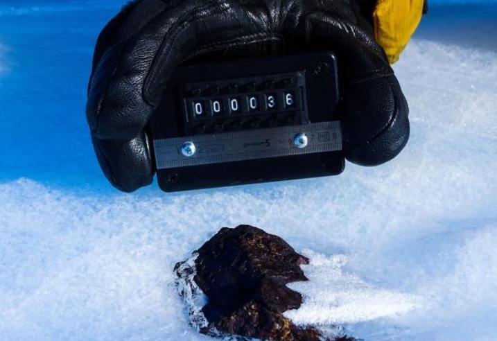 “南极失落陨石”项目收集的陨石