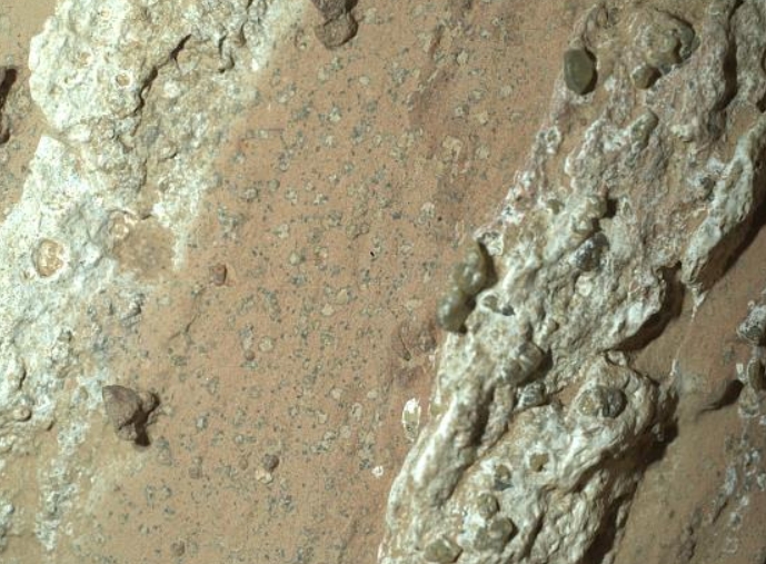 红色岩芯样本 红色岩芯样本