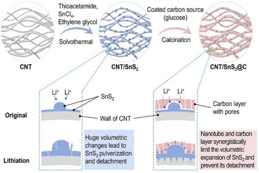 图为碳纳米管/二硫化锡