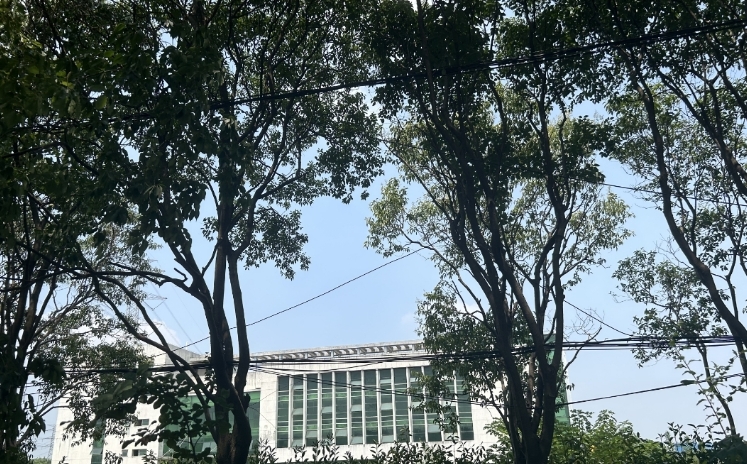 土地上的建筑物 土地上的建筑物