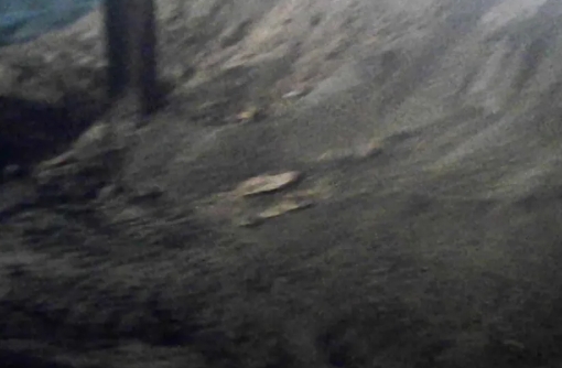 马先生说的污泥被堆放在厂房一角 马先生说的污泥被堆放在厂房一角