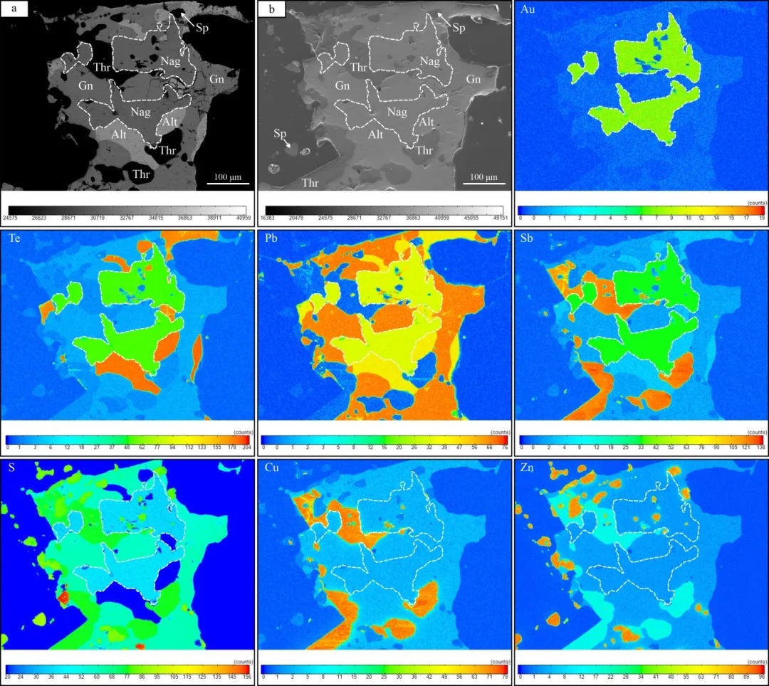 叶碲金矿及共生矿物的WDS元素面扫描