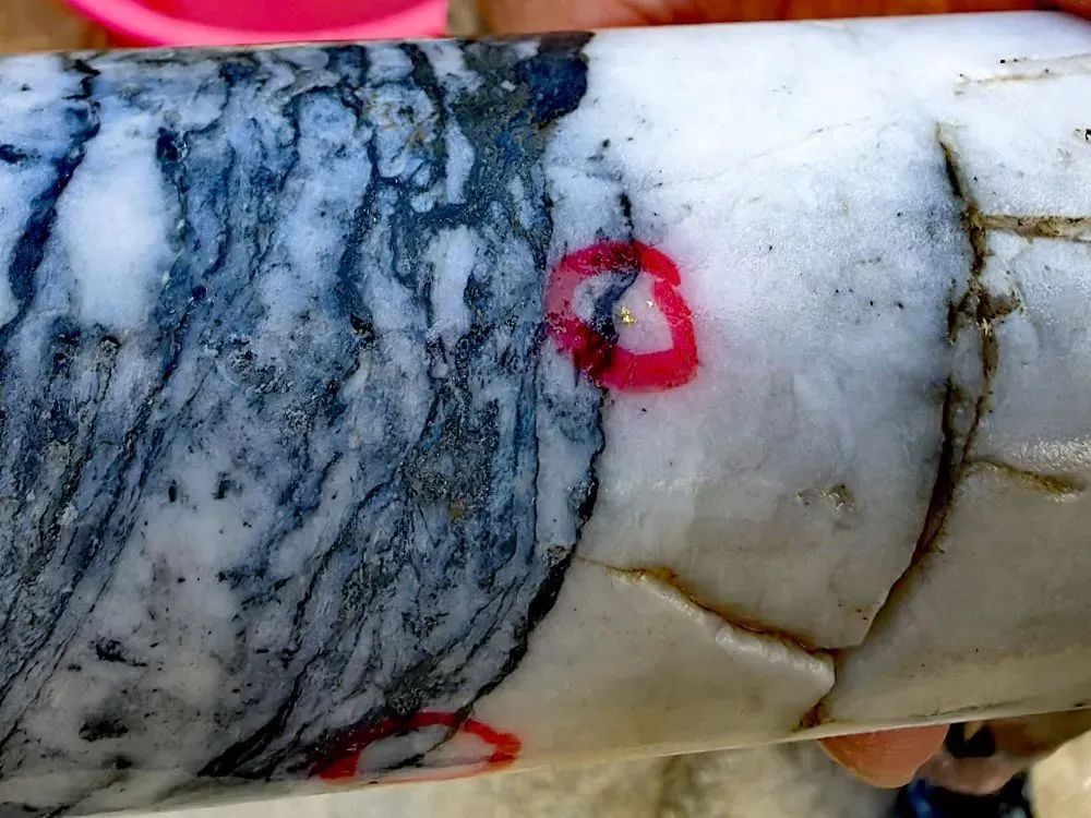 11月5日拍摄的地下岩芯上清晰可见的“明金”