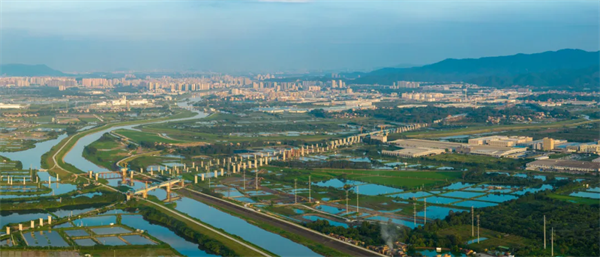 建设中的珠肇高铁高明特大桥