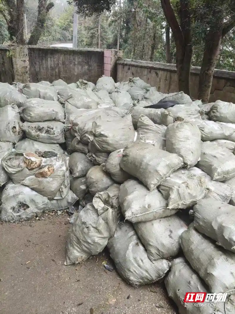 资兴市深入开展“雷霆护矿”专项整治行动 破获一起非法采矿案 刑拘两人！