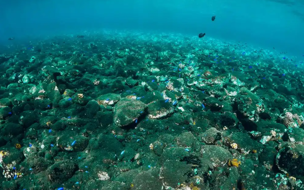 张来斌委员：多措并举推动海洋矿产资源开发