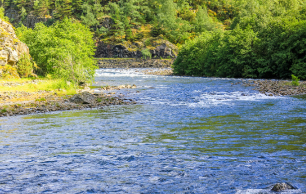 违建侵占河道、非法采砂！水利部公布8起河湖库“清四乱”典型案例